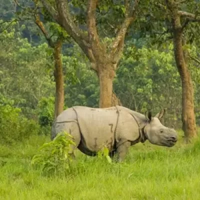 Chitwan